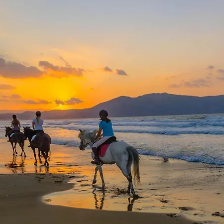 Casa Dyonisia Tsilivi 3* Plános