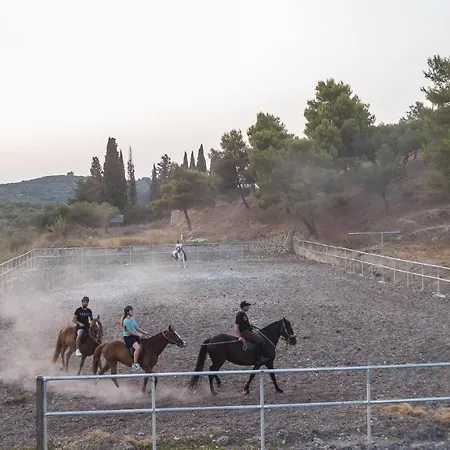 Casa Dyonisia Tsilivi 3*