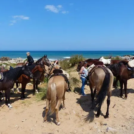 Aparthotel Casa Dyonisia Tsilivi
