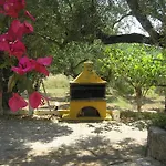 Апарт-отель Casa Dyonisia Tsilivi